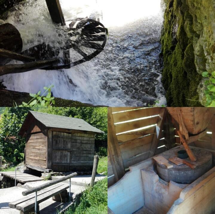 Aparthotel Kopaonik Brzeće Exteriör bild